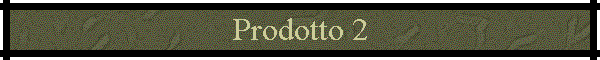 Prodotto 2