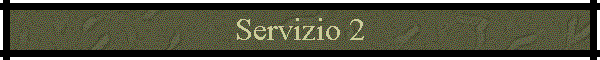Servizio 2