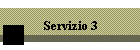 Servizio 3
